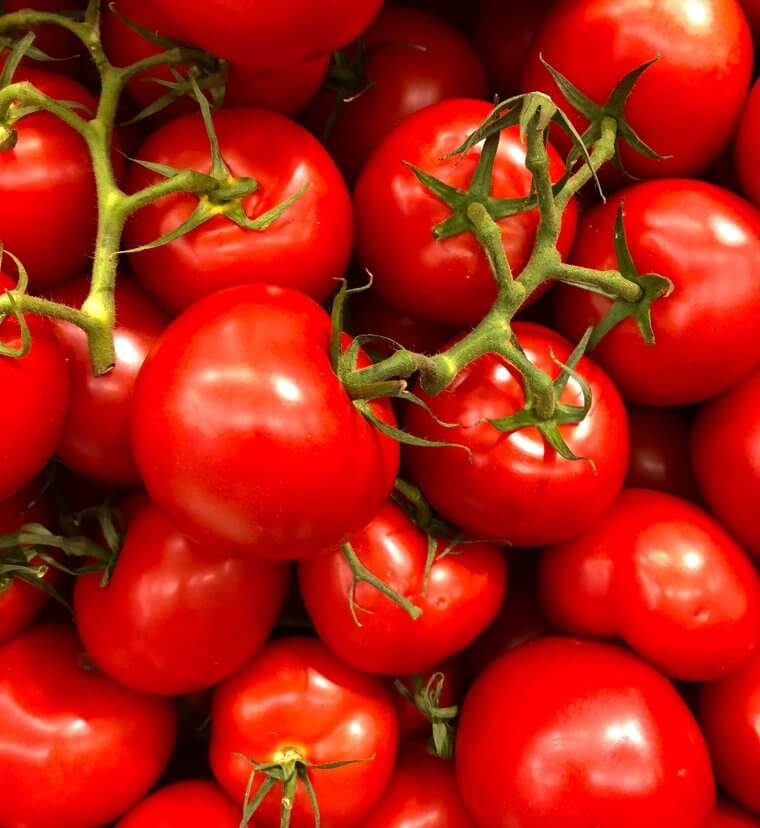Here’s Why You Should Never Refrigerate Tomatoes